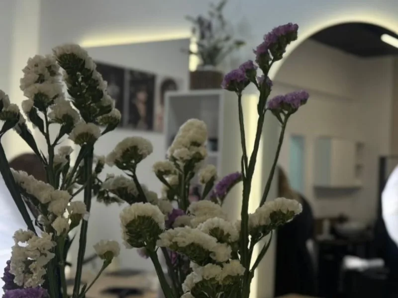 Sfera beauty concept