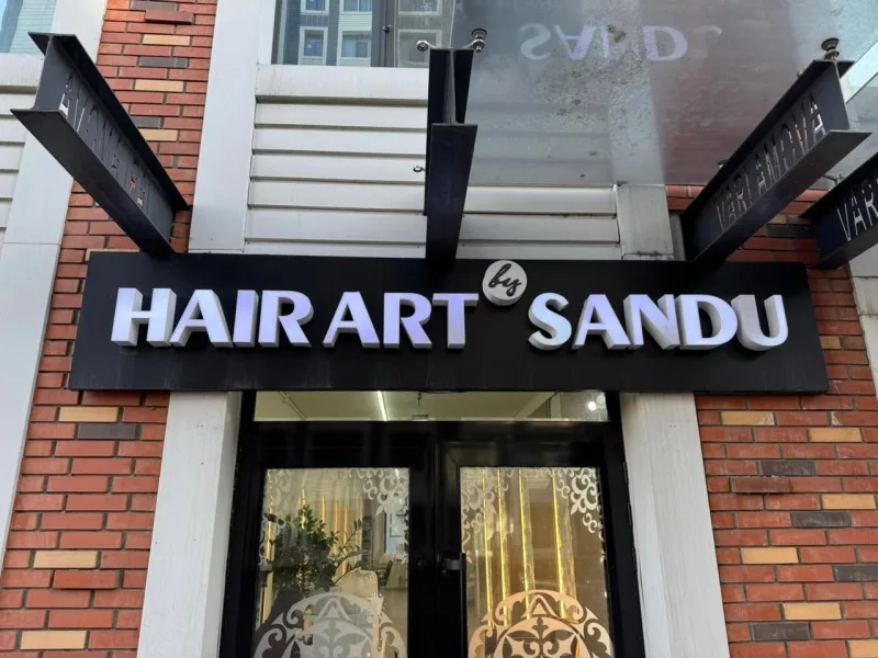 Hair art Sandu