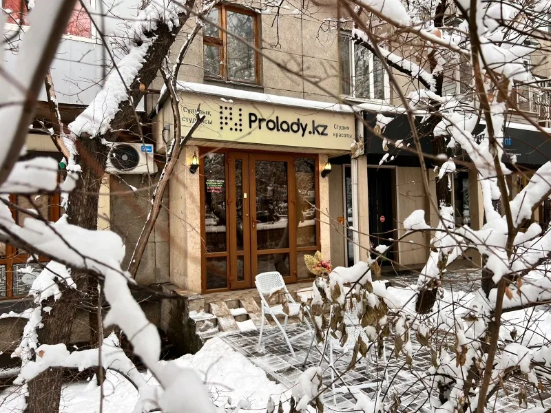 Prolady.kz
