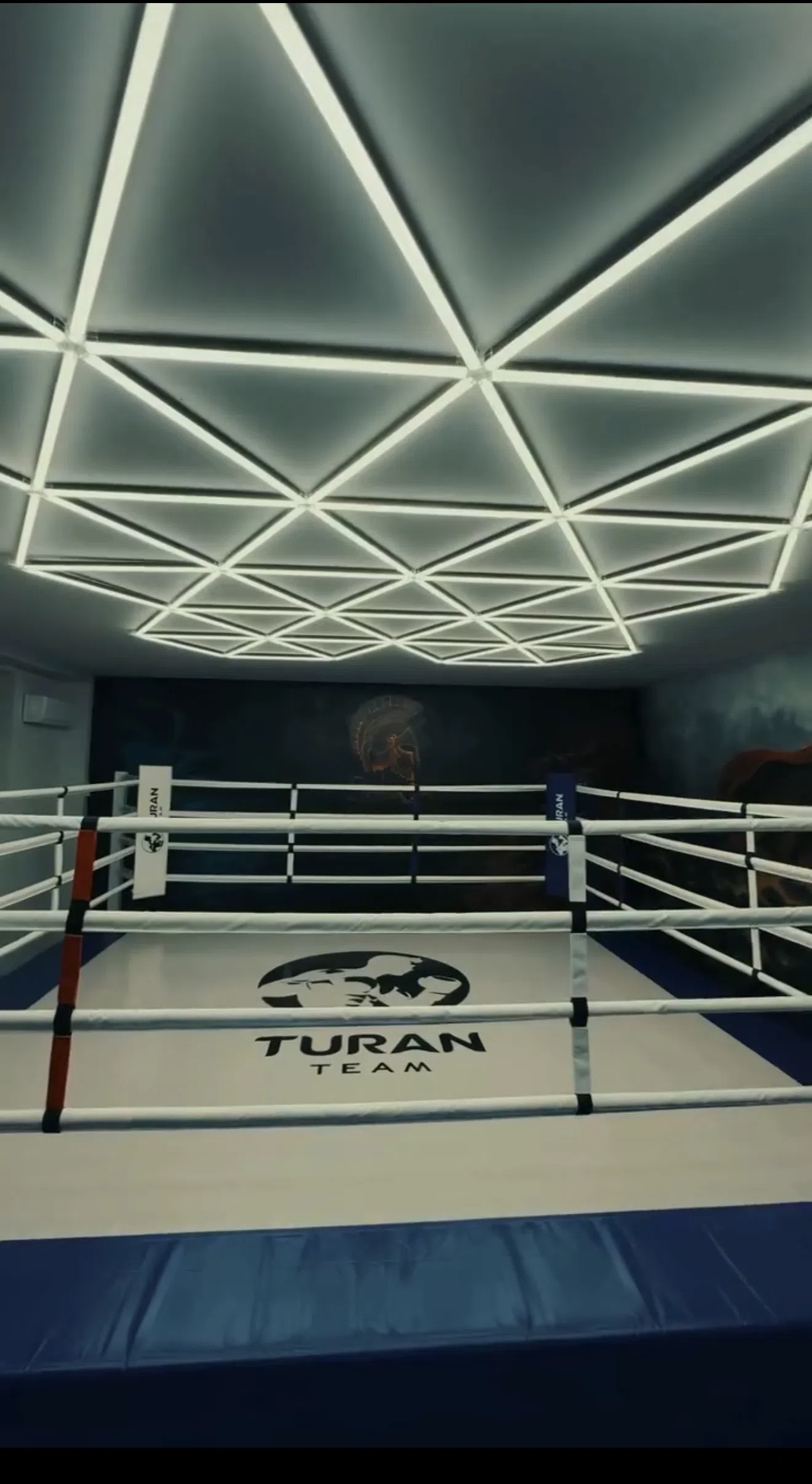 Sparta boxing club — фото 5